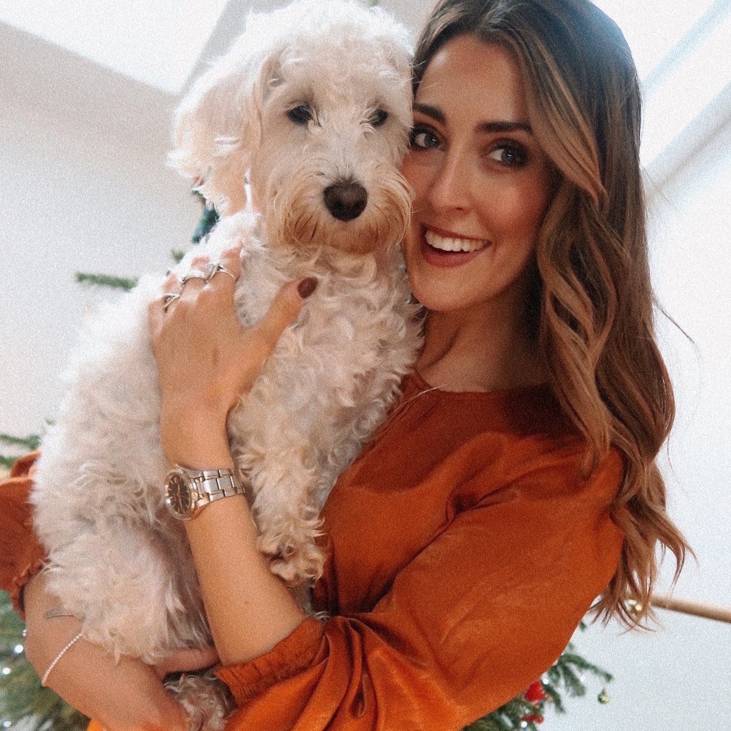 Vegan Advent calendar guide